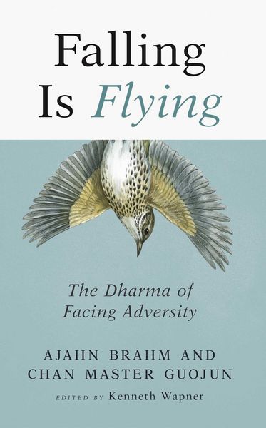Produktbild: Falling is Flying