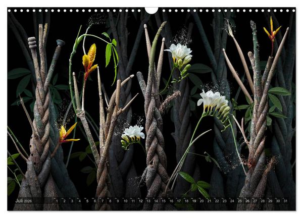 Produktbild: Musica fant&aacute;sia - Die wundersame Welt des Fotok&uuml;nstlers Olaf Bruhn (Wandkalender 2026 DIN A3 quer), CALVENDO Monatskalender