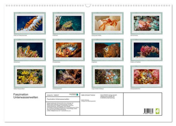 Produktbild: Faszination Unterwasserwelten (Wandkalender 2026 DIN A2 quer), CALVENDO Monatskalender