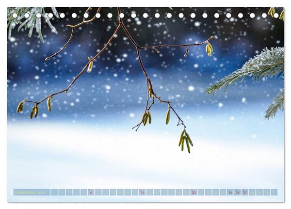 Produktbild: Natursch&ouml;nheiten - mit Bl&uuml;ten und Pflanzen durch das Jahr (Tischkalender 2026 DIN A5 quer), CALVENDO Monatskalender