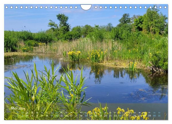 Produktbild: Moortr&auml;ume - Natursch&ouml;nheit in Bildern (Wandkalender 2026 DIN A4 quer), CALVENDO Monatskalender