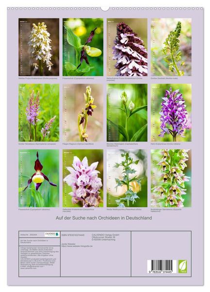 Produktbild: Auf der Suche nach Orchideen in Deutschland (hochwertiger Premium Wandkalender 2026 DIN A2 hoch), Kunstdruck in Hochglanz