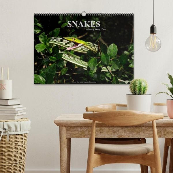 Produktbild: SNAKES / UK-Version (Wall Calendar 2026 DIN A3 landscape), CALVENDO 12 Month Wall Calendar