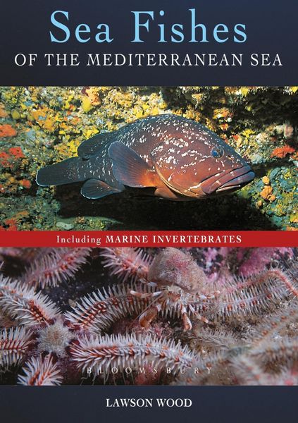 Produktbild: Sea Fishes Of The Mediterranean Including Marine Invertebrates
