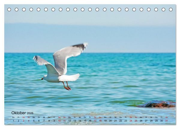 Produktbild: Ostseebad K&uuml;hlungsborn. Erholung mit allen Sinnen (Tischkalender 2026 DIN A5 quer), CALVENDO Monatskalender