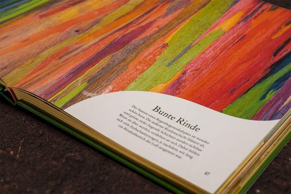 Produktbild: Gro&szlig;e und kleine Sch&auml;tze der Natur. Pflanzen