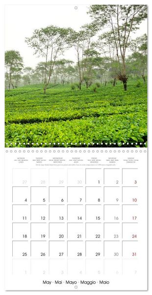 Produktbild: Travel around Java (Wall Calendar 2026 12 &times; 12 Inch) CALVENDO 12 Month Wall Calendar