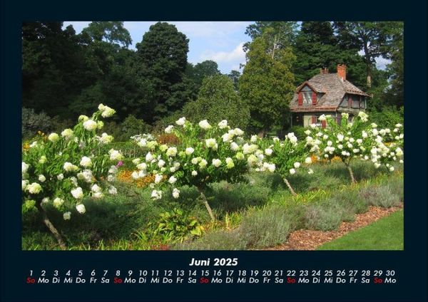 Produktbild: Blumenkalender 2025 Fotokalender DIN A4