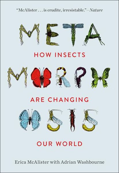 Produktbild: Metamorphosis