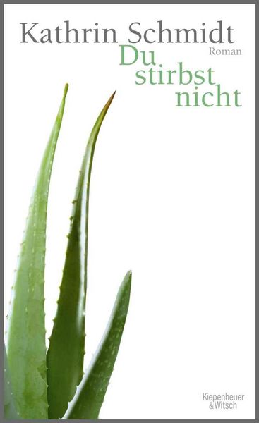 Produktbild: Du stirbst nicht