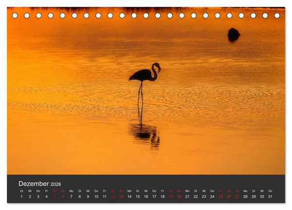 Produktbild: Pretty Flamingo (Tischkalender 2026 DIN A5 quer), CALVENDO Monatskalender