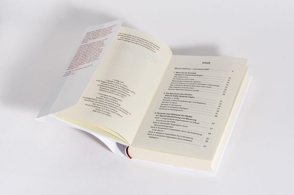 Produktbild: Holismus