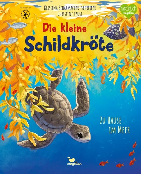 Produktbild: Die kleine Schildkr&ouml;te - Zu Hause im Meer