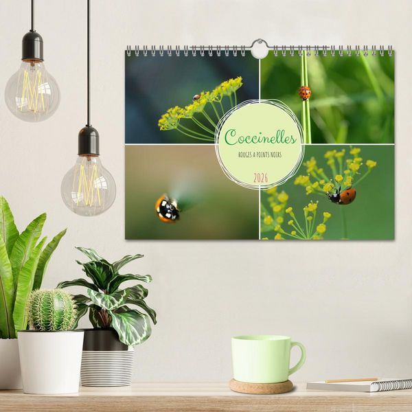 Produktbild: Coccinelles rouges &agrave; points noirs (Calendrier mural 2026 DIN A4 vertical), CALVENDO calendrier mensuel