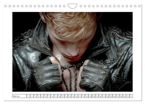Produktbild: The Art of Desire (Wandkalender 2026 DIN A4 quer), CALVENDO Monatskalender