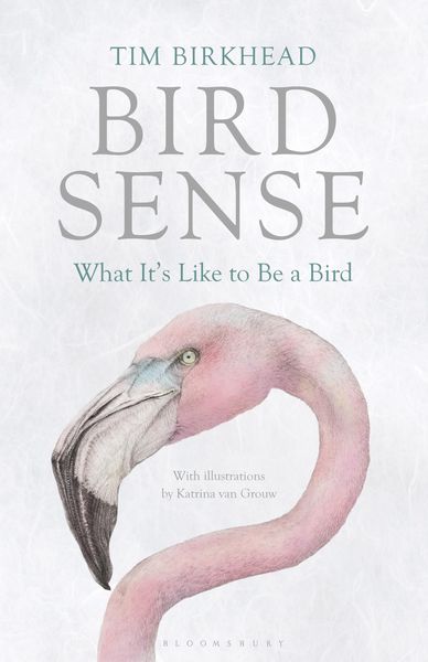 Produktbild: Bird Sense