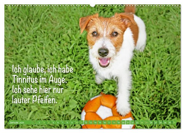 Produktbild: Jack Russell Terrier: Komm spielen (hochwertiger Premium Wandkalender 2026 DIN A2 quer), Kunstdruck in Hochglanz