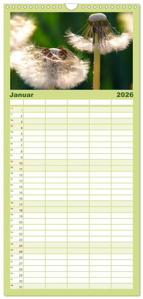 Produktbild: Familienplaner 2026 - Wildblumen 2026 mit 5 Spalten (Wandkalender, 21 x 45 cm) CALVENDO