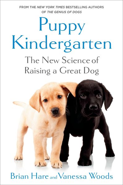 Produktbild: Puppy Kindergarten