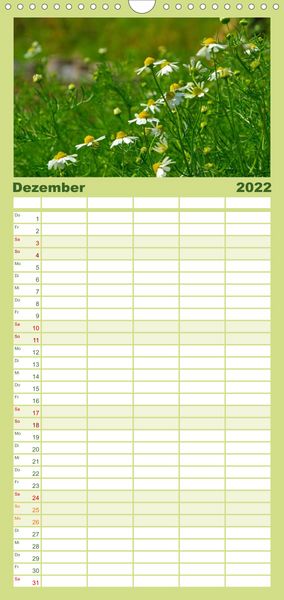 Produktbild: Familienplaner Arzneipflanzen (Wandkalender 2022 , 21 cm x 45 cm, hoch)