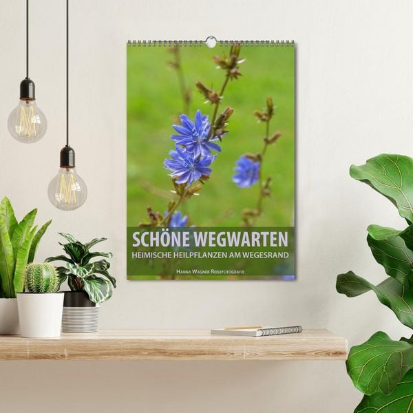 Produktbild: Sch&ouml;ne Wegwarten. Heimische Heilpflanzen am Wegesrand (Wandkalender 2026 DIN A3 hoch), CALVENDO Monatskalender