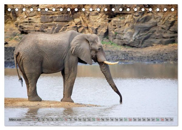 Produktbild: Elefanten in Afrika (Tischkalender 2026 DIN A5 quer), CALVENDO Monatskalender
