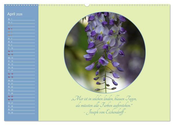 Produktbild: Flora in royalem Blau (hochwertiger Premium Wandkalender 2026 DIN A2 quer), Kunstdruck in Hochglanz