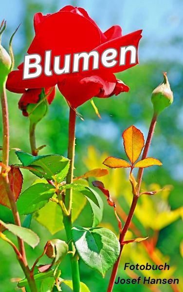 Produktbild: Blumen