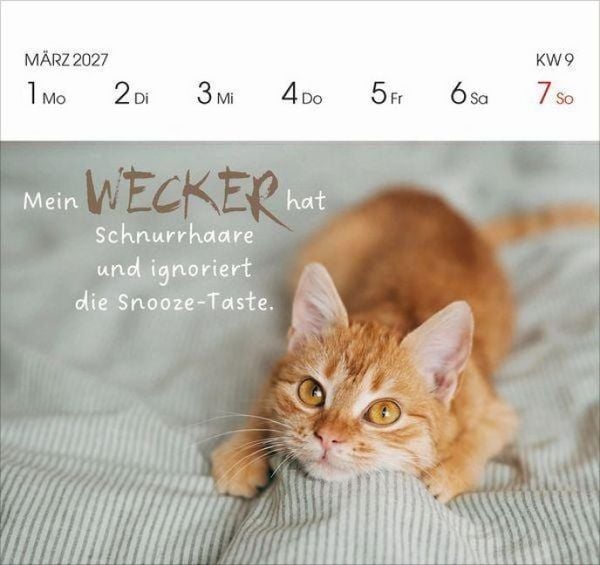 Produktbild: Katzen 2027