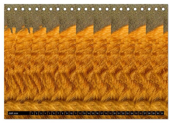 Produktbild: Magische Bilder - 3D Stereogramme (Tischkalender 2026 DIN A5 quer), CALVENDO Monatskalender