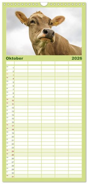 Produktbild: Familienplaner 2026 - Naturparadies Allg&auml;u - Von Oberstdorf bis F&uuml;ssen mit 5 Spalten (Wandkalender, 21 x 45 cm) CALVENDO