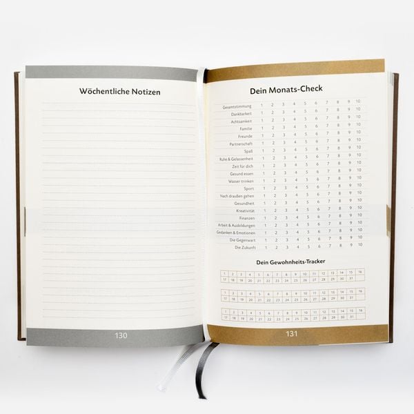 Das 6-Minuten-Tagebuch (schokobraun)