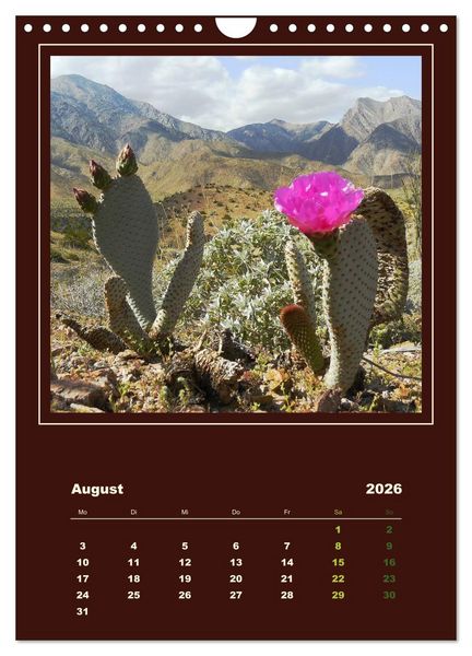 Produktbild: Wilde Kakteen Amerikas (Wandkalender 2026 DIN A4 hoch), CALVENDO Monatskalender