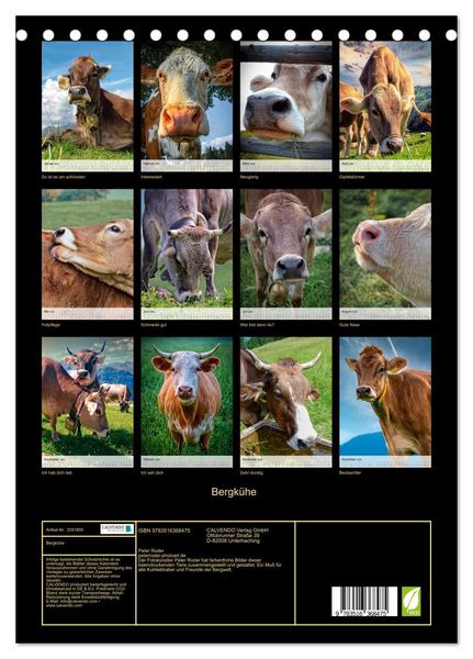 Produktbild: Bergk&uuml;he (Tischkalender 2026 DIN A5 hoch), CALVENDO Monatskalender
