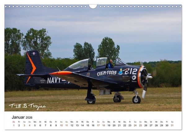 Produktbild: Faszination Kunst- und Segelflug (Wandkalender 2026 DIN A3 quer), CALVENDO Monatskalender