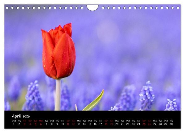 Produktbild: Moody calendar (Wall Calendar 2026 DIN A4 landscape), CALVENDO 12 Month Wall Calendar