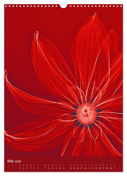 Produktbild: Durchleuchtete Blumenwelt 2026 (Wandkalender 2026 DIN A3 hoch), CALVENDO Monatskalender