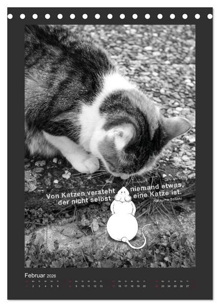 Produktbild: Katz & Maus (Tischkalender 2026 DIN A5 hoch), CALVENDO Monatskalender