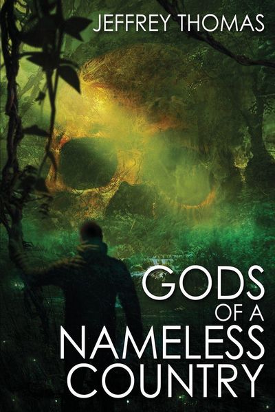 Produktbild: Gods of a Nameless Country