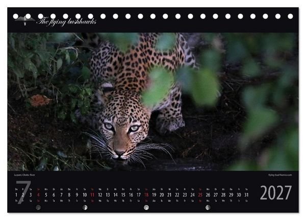Produktbild: Botswana Blickwinkel 2027 (Tischkalender 2027 DIN A5 quer), CALVENDO Monatskalender