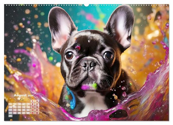 Produktbild: Splash - Hunde im Farbrausch (hochwertiger Premium Wandkalender 2026 DIN A2 quer), Kunstdruck in Hochglanz