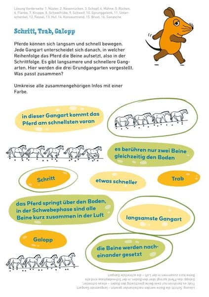 Produktbild: Frag doch mal ... die Maus: Mein R&auml;tselblock mit der Maus &ndash; Pferde und Ponys