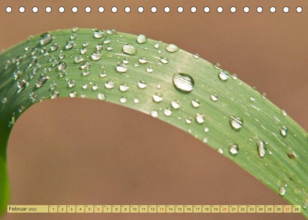 Produktbild: Bauerngarten - bunte Vielfalt (Tischkalender 2022 DIN A5 quer)