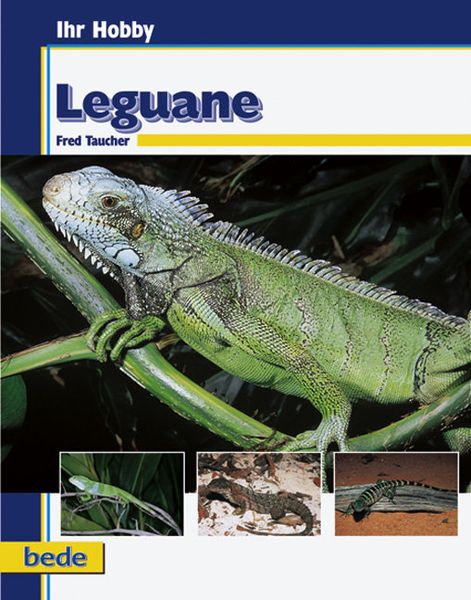 Produktbild: Ihr Hobby Leguane