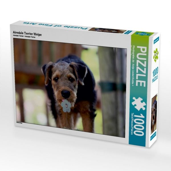 Produktbild: CALVENDO Puzzle Airedale Terrier Welpe | 1000 Teile Lege-Gr&ouml;&szlig;e 64x48cm Foto-Puzzle f&uuml;r gl&uuml;ckliche Stunden