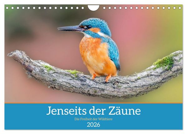 Jenseits der Zäune (Wandkalender 2026 DIN A4 quer), CALVENDO Monatskalender