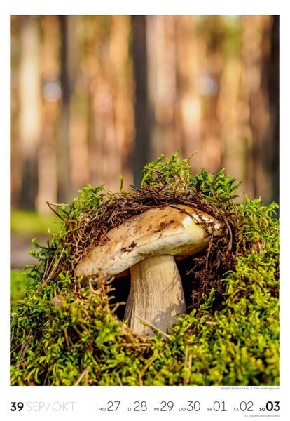 Produktbild: Natur Wochenkalender 2027