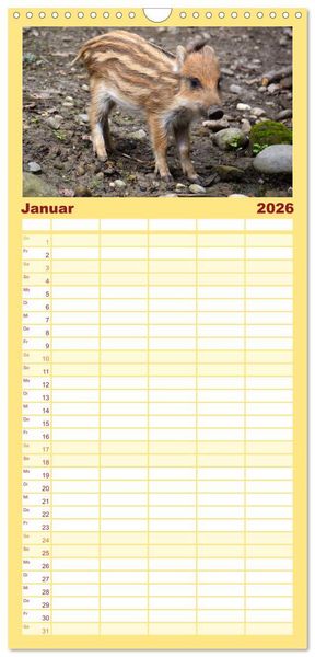 Produktbild: Familienplaner 2026 - Nachwuchs in der Tierwelt mit 5 Spalten (Wandkalender, 21 x 45 cm) CALVENDO