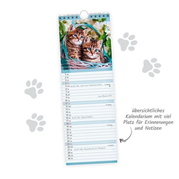 Produktbild: TR&Ouml;TSCH - Streifenkalender Katzen 2027 Notizkalender