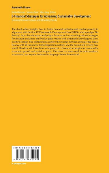 Produktbild: E-Financial Strategies for Advancing Sustainable Development